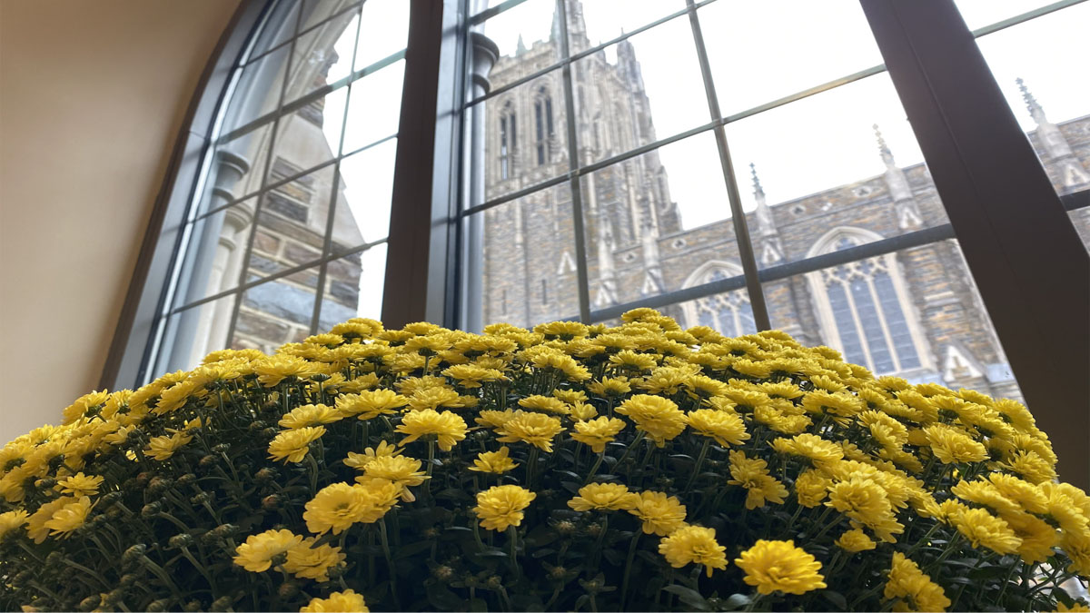 Driving with David: Mums